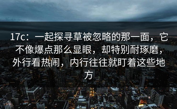 17c：一起探寻草被忽略的那一面，它不像爆点那么显眼，却特别耐琢磨，外行看热闹，内行往往就盯着这些地方