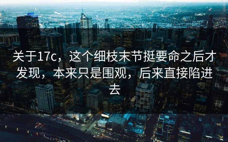 关于17c，这个细枝末节挺要命之后才发现，本来只是围观，后来直接陷进去