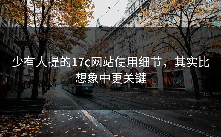 少有人提的17c网站使用细节，其实比想象中更关键