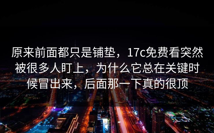 原来前面都只是铺垫，17c免费看突然被很多人盯上，为什么它总在关键时候冒出来，后面那一下真的很顶