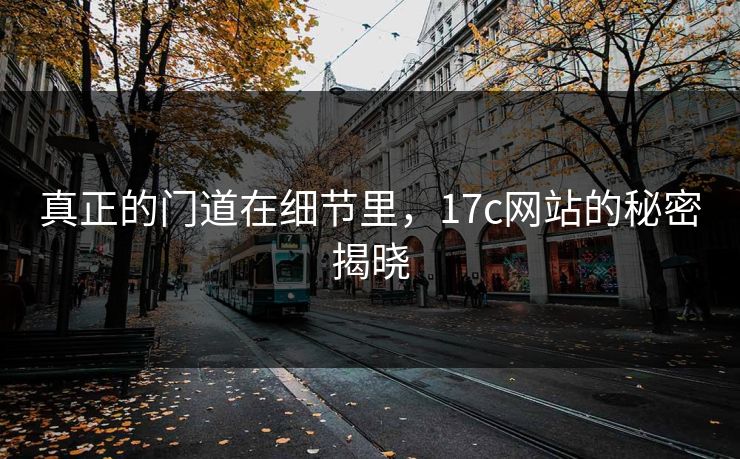 真正的门道在细节里，17c网站的秘密揭晓